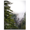 Canvas Print Nature Mountains Fog Forest 30x40 cm