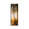 Canvas Print Sun in the Forest Light Tree 40x120 cm
