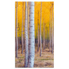 Canvas Print Birch Trees Autumn Yellow Leaves 70x120 cm