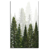Canvas Print Rain Forest Nature Trees 60x100 cm