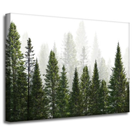 Canvas Print Rain Forest Nature Trees 40x30 cm