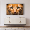 Canvas Print Cat Face Close Up 90x60