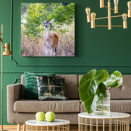 Canvas Print Animals Roe Deer 40x40 cm