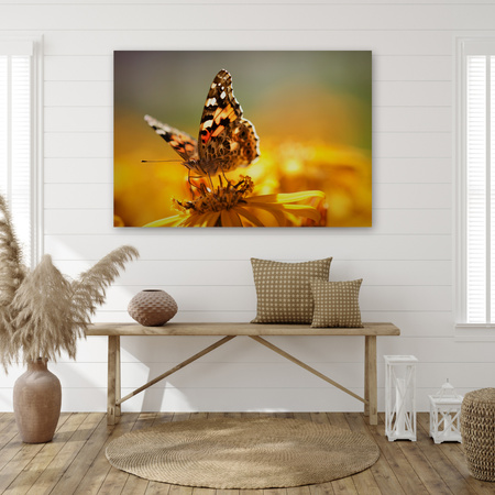 Canvas Print Animals Butterfly on Flower 90x60