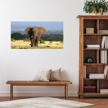 Canvas Print Elephant Africa Savannah Nature Art 100x80 cm