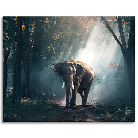 Canvas Print Animals Elephant 100x80 cm