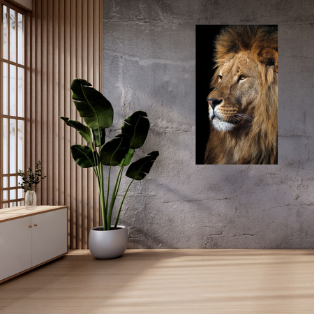Canvas Print Terrible Majestic Lion Animal 80x120 cm