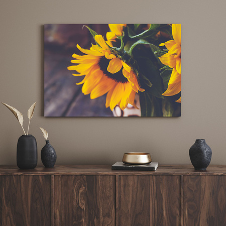 Canvas Print Botany Sunflowers 40x30 cm