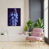 Canvas Print Botany Hyacinth 30x40 cm