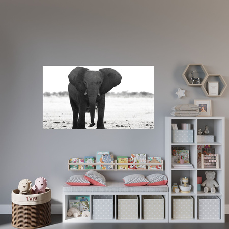 Canvas Print Gray Elephant Nature Black and White 100x80 cm