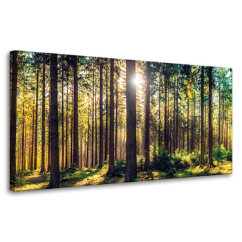 Canvas Print Forest Sun Trees Spring Morning 80x40 cm