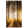 Canvas Print Sun in the Forest Light Tree 70x120 cm