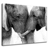 Canvas Print Elephant Close-up Gray Nature 100x80 cm