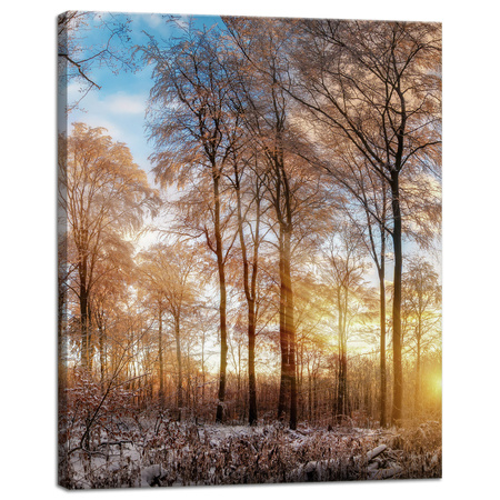 Canvas Print Trees Winter Rising Sun 40x50 cm