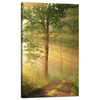 Canvas Print Sunlight Forest Path Nature 60x100 cm