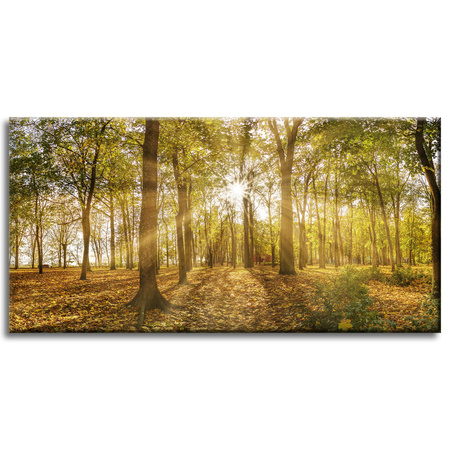 Canvas Print Sun Between Trees in the Forest 80x40 cm