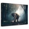 Canvas Print Animals Elephant 40x30 cm