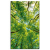 Canvas Print Trees Leaves Nature Forest Spring 60x100 cm