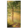 Canvas Print Sunlight Forest Path Nature 60x120 cm