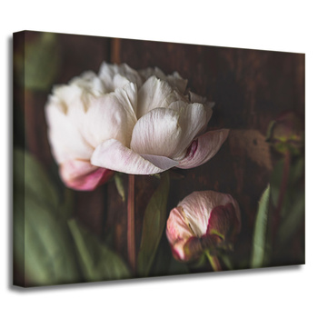 Canvas Print Botany Peonies 40x30 cm