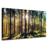 Canvas Print Forest Sun Trees Spring Morning 100x60 cm