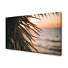 Canvas Print Nature Beach Palm Tree Sea Sunset 90x60