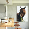 Canvas Print Animals Horse 30x40 cm
