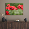 Canvas Print Botanical Red Poppies 120x40 cm Flowers Flora
