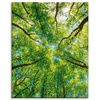 Canvas Print Trees Leaves Nature Forest Spring 80x100 cm