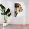 Canvas Print Gazing Lion Nature Face 80x120 cm