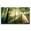 Canvas Print Sun in the Forest Trees Nature 70x50 cm