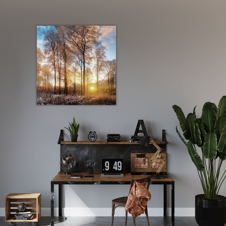 Canvas Print Trees Winter Rising Sun 60X60 cm