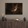 Canvas Print Animals Cat 40x30 cm