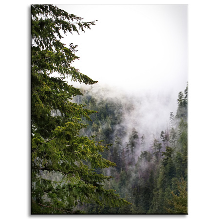 Canvas Print Nature Mountains Fog Forest 30x40 cm
