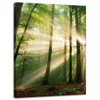 Canvas Print Sun in the Forest Trees Nature 30x40 cm