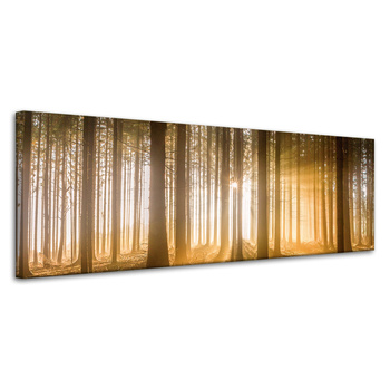 Canvas Print Sun in the Forest Light Tree 120x40 cm