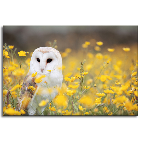 Canvas Print White Owl Flowers Nature Meadow 90x60
