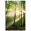 Canvas Print Sun in the Forest Trees Nature 80x120 cm