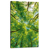 Canvas Print Trees Leaves Nature Forest Spring 60x100 cm