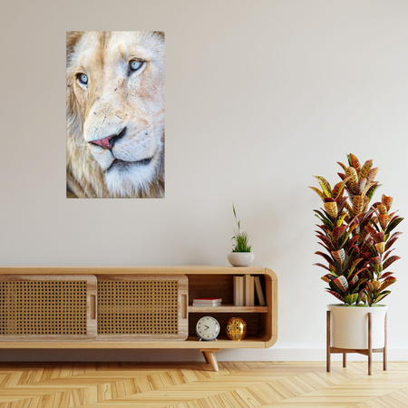 Canvas Print Bright Lion Face Blue Eyes 80x120 cm