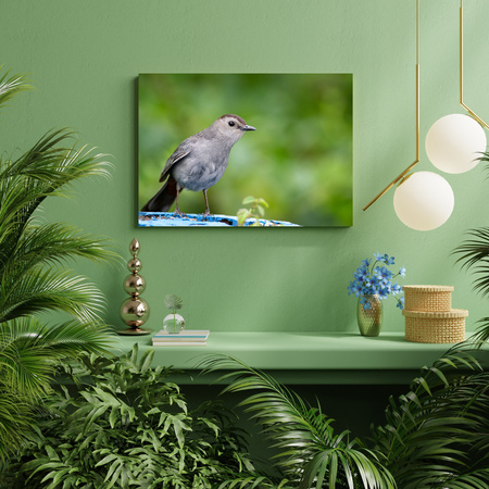 Canvas Print Animals Sitting Bird 40x30 cm