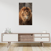 Canvas Print Gazing Lion Nature Face Wilderness 80x120 cm