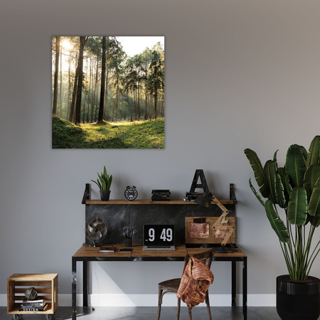 Canvas Print Forest Trees Sun Nature 90X90 cm