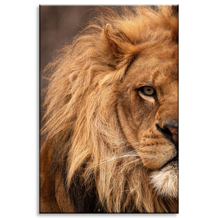 Canvas Print Face Mane and Eye of Lion Nature 80x120 cm