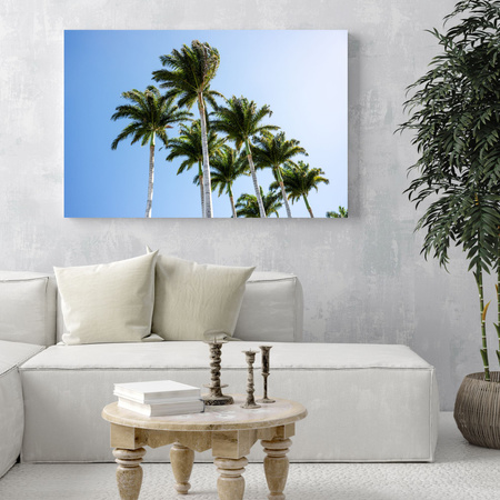 Canvas Print Nature Palm Trees 40x30 cm