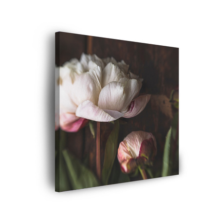 Canvas Print White Flower Nature Vintage Retro 90x90