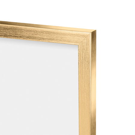 3x Gold Frame 40x50, I L13,15,045, Plexiglass