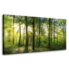 Canvas Print Sun Forest Trees Rays of Light 80x40 cm