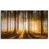 Canvas Print Sun in the Forest Light Tree 100x60 cm