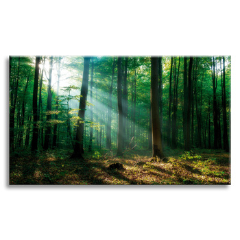 Canvas Print Forest Trees Sun Rays 120x80 cm